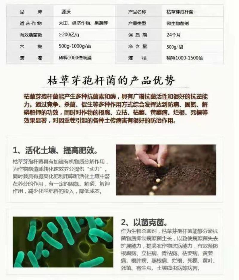 枯草芽孢杆菌调土壤防死棵抗重茬促生根