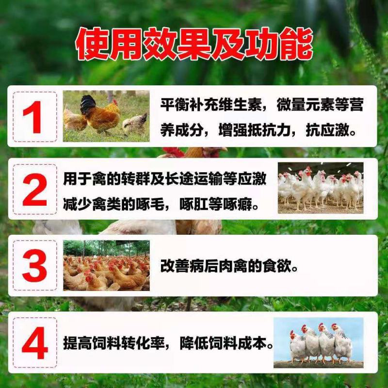肉禽通用鸡鸭鹅，可长期使用，禽速肥料比低，卖相好，生病少