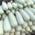 [实力代收】山东滨州博洋61精品万亩优质甜瓜种植基地