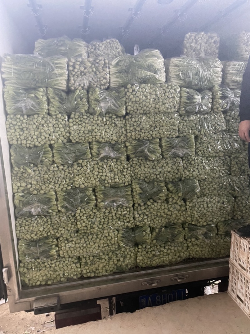 【商家推荐】精品上海青，山东曹县油菜，质量保证，价格低廉
