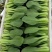 【商家推荐】精品上海青，山东曹县油菜，质量保证，价格低廉