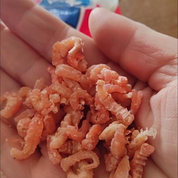 包邮大海米500克大虾仁虾干干货干虾即食金钩虾米