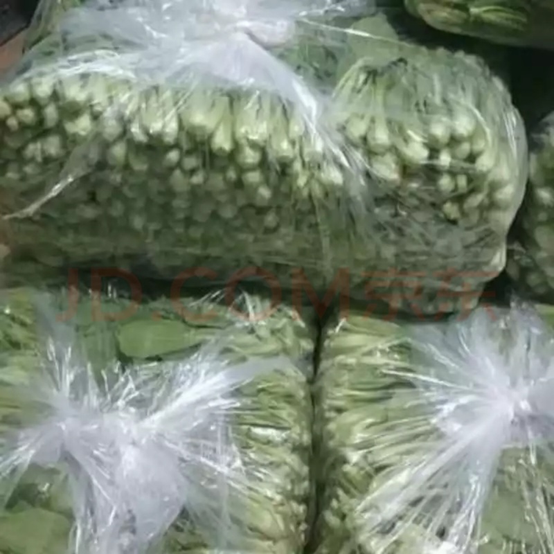 【产地】上海青大量上市中，曹县小油菜，常年供应，对接批发