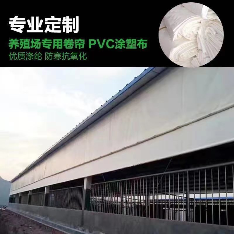 大棚加厚猪羊鸡牛圈卷帘布养殖场防雨布保温防晒防水PE帆布