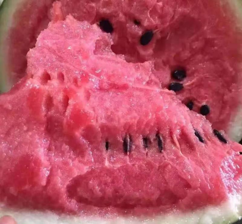 西瓜甜王精品西瓜云南西瓜大量上市需要联系