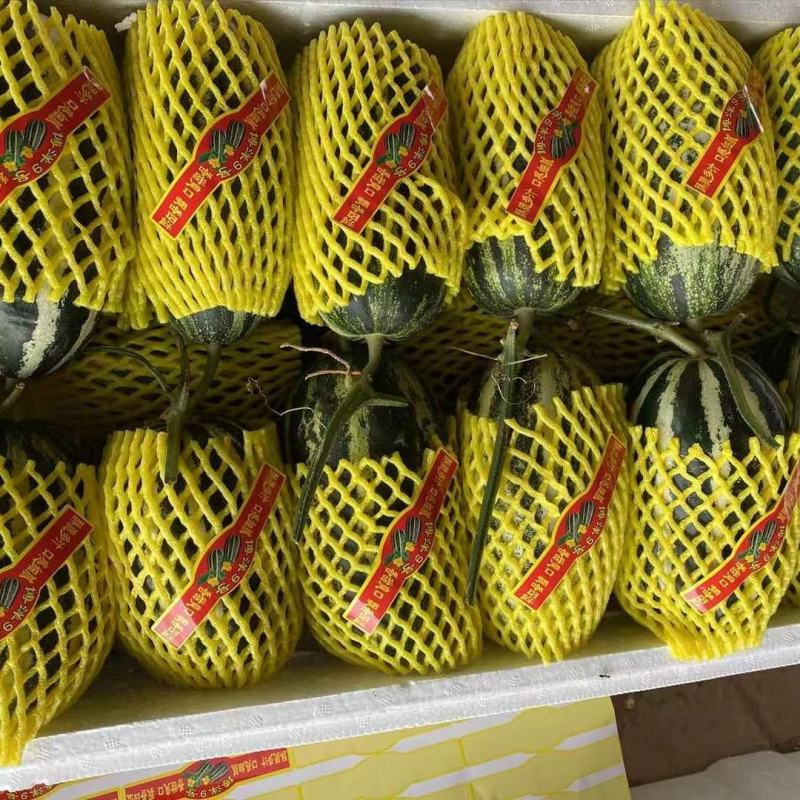 精品博洋甜瓜一手货源电商直供口感香甜质量保障现摘现发