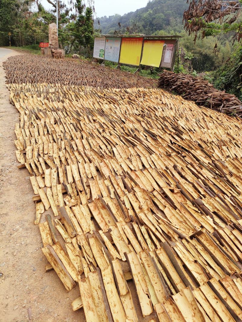 德庆桂皮基地直发整车零售