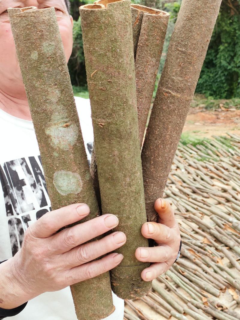 德庆桂皮基地直发整车零售