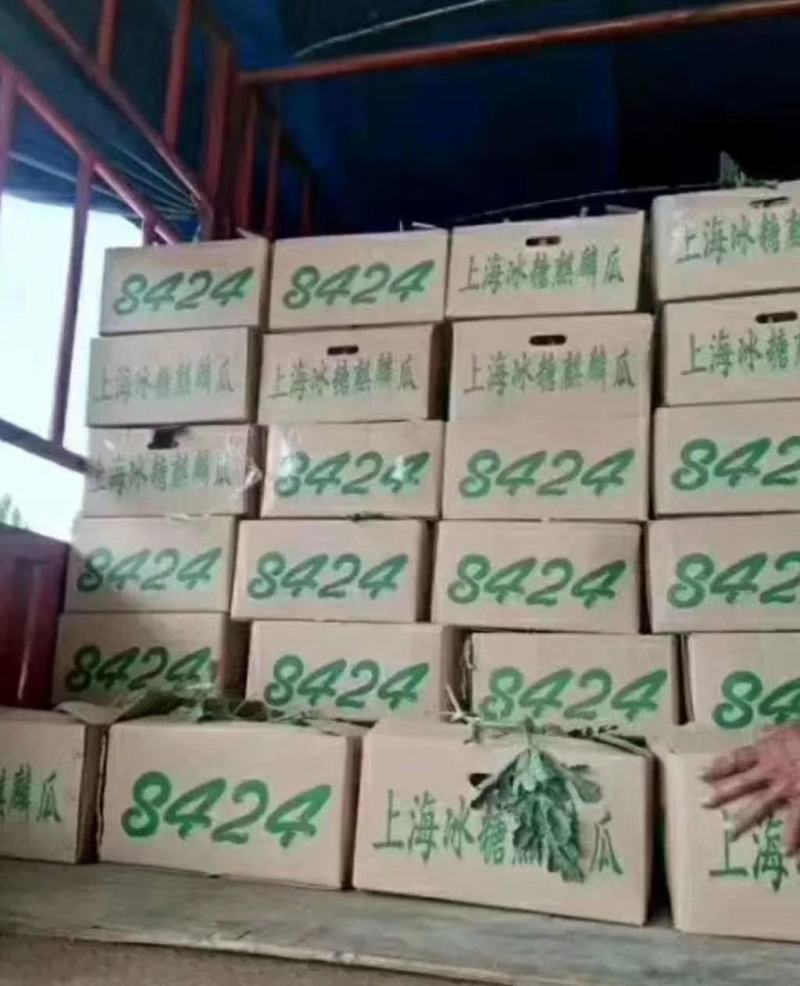 台农美都西瓜产地一级货源，瓜果合作社欢迎前来订购