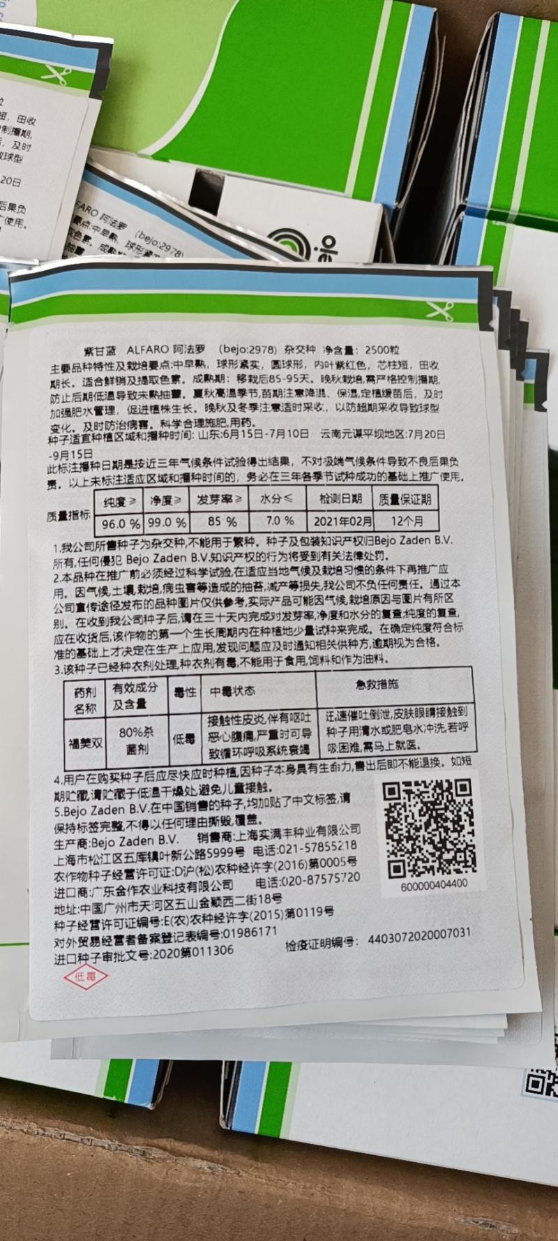 必久公司紫甘蓝种子就是棒