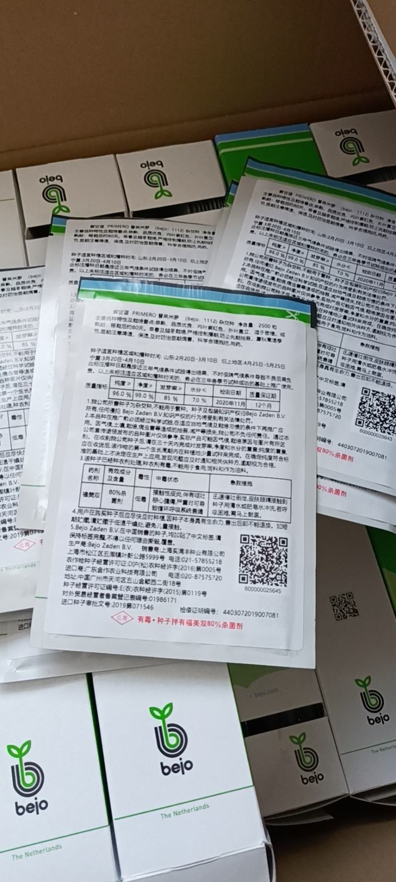 必久公司紫甘蓝种子就是棒