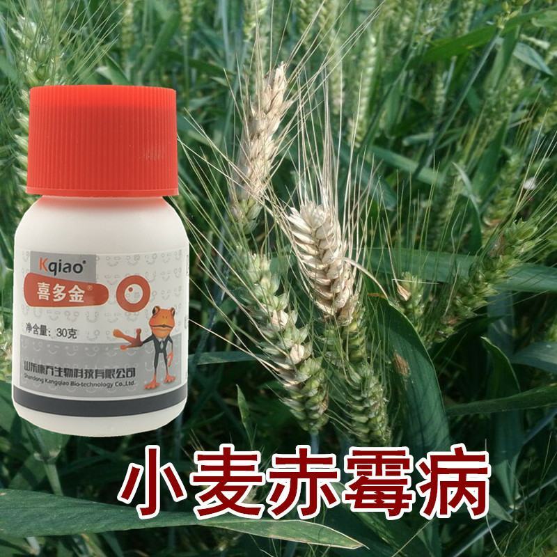 喜多金38%唑醚氟环唑小麦锈病香蕉叶斑病杀菌剂正品