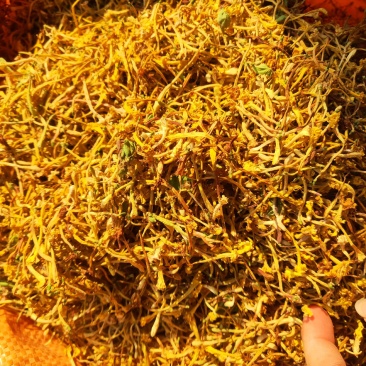 云南野生金银花生晒货实物拍摄天味香