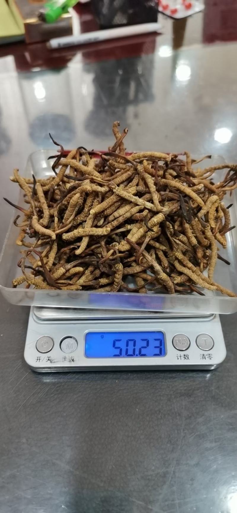 完美配货中心产地青海西宁虫草市场
