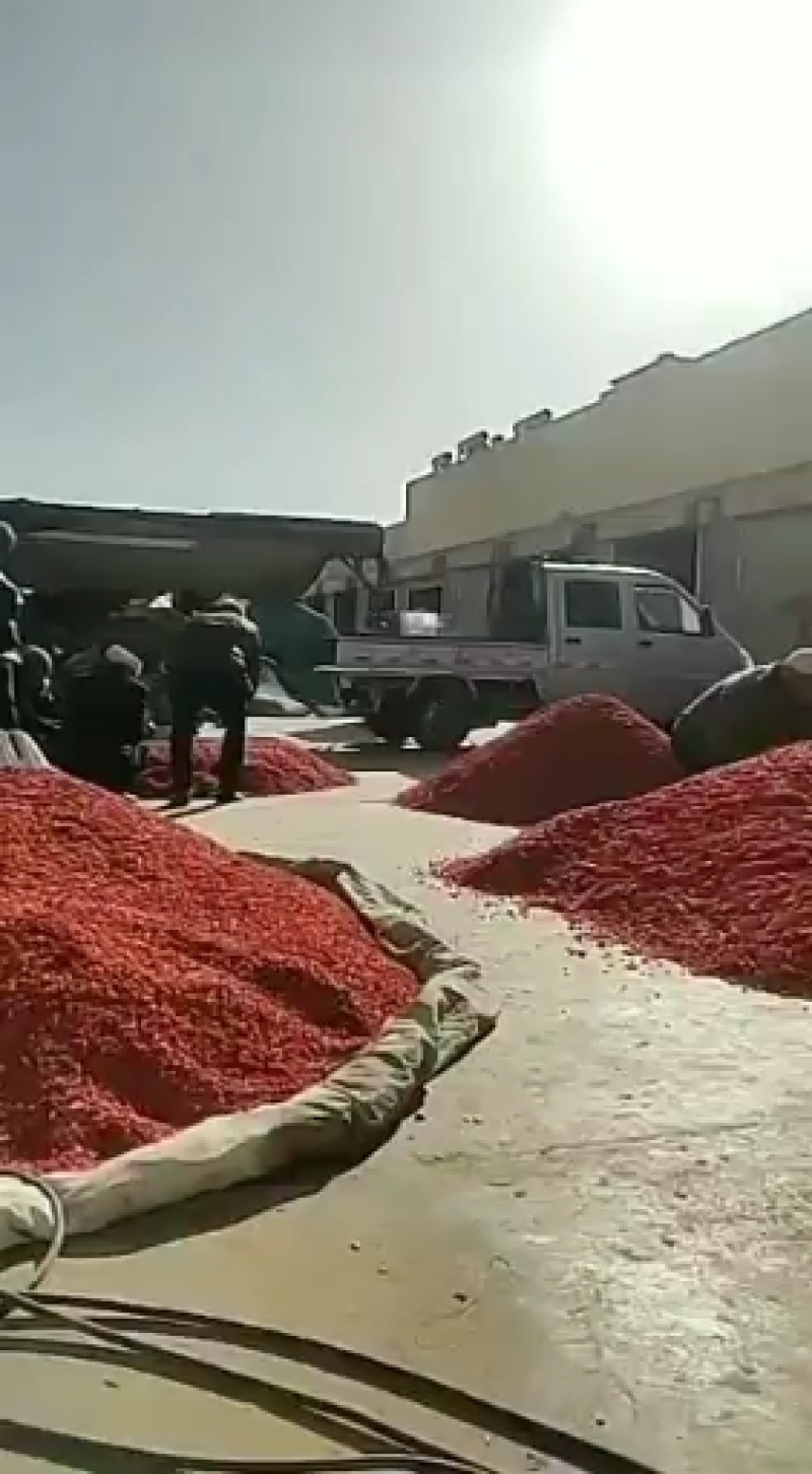 完美配货中心产地青海西宁虫草市场