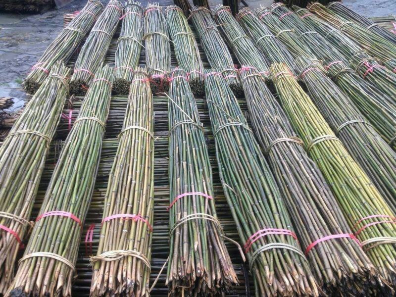 【荐】各种规格菜架竹竿旗杆竹竿全部现货质量保证