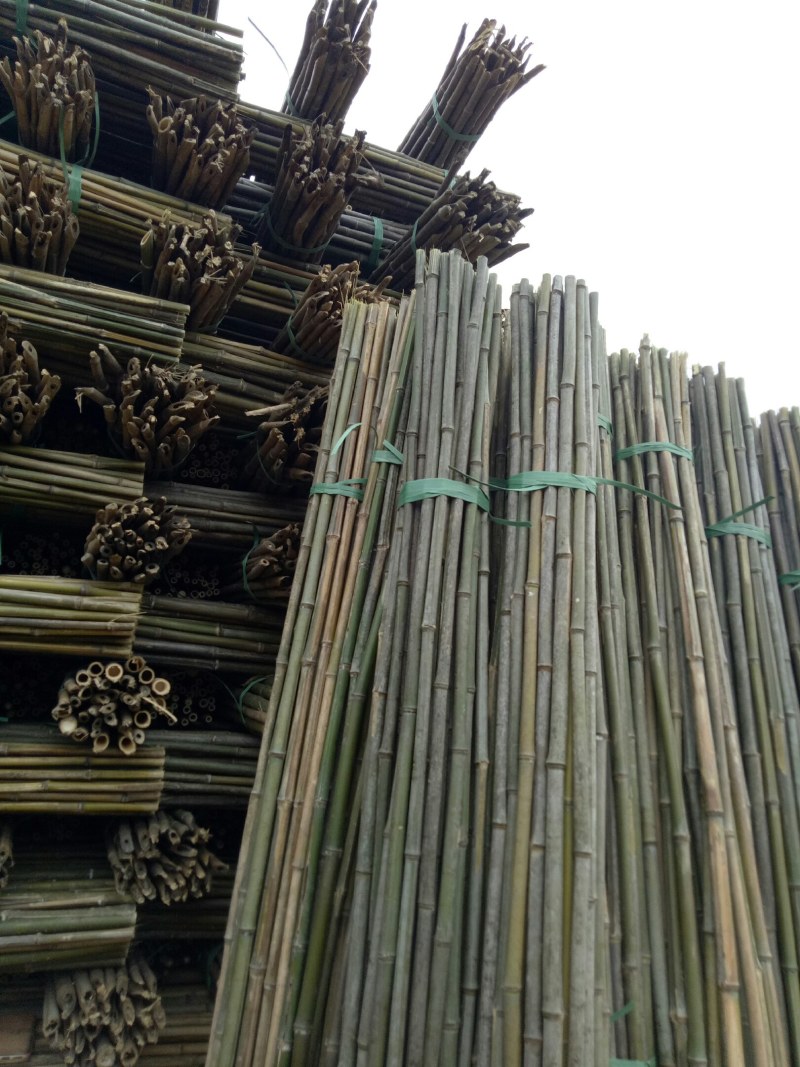 【荐】各种规格菜架竹竿旗杆竹竿全部现货质量保证