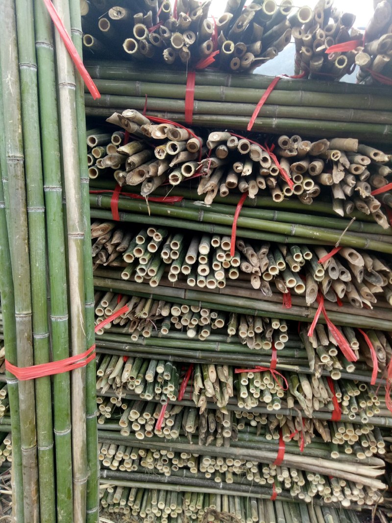 【荐】各种规格菜架竹竿旗杆竹竿全部现货质量保证