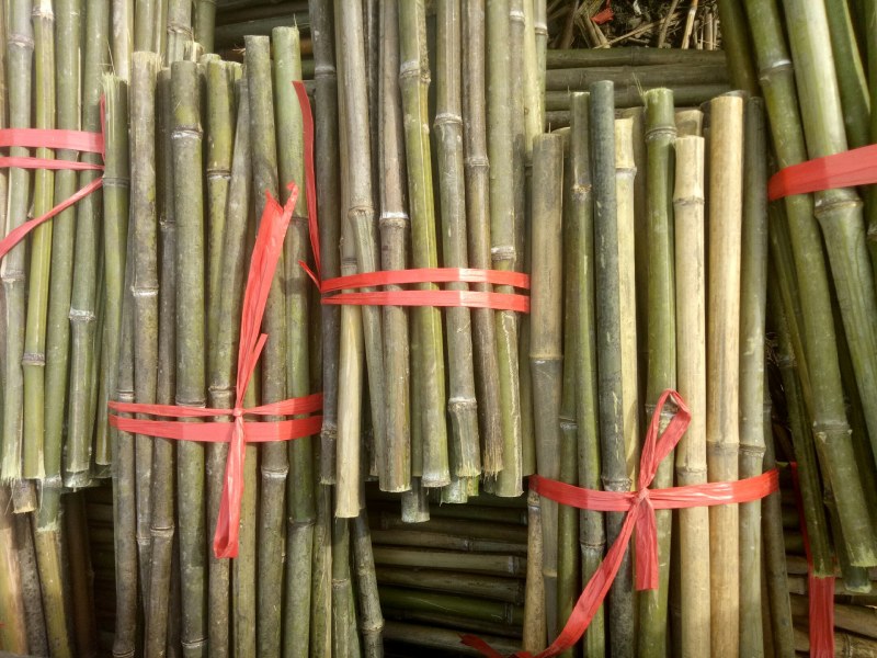 【荐】各种规格菜架竹竿旗杆竹竿全部现货质量保证
