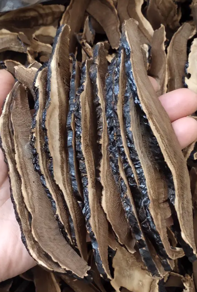 优质黑灵芝切片产地发货一手货源诚信合作欢迎来电