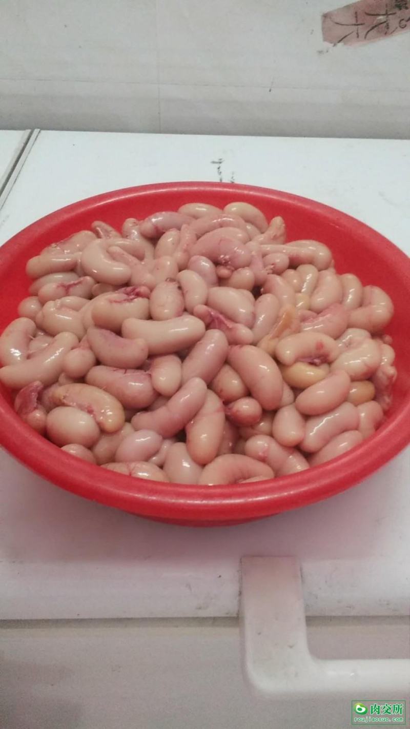 【精品】鲜鸡腰子，质量非常好，价格非常低欢迎来电咨询