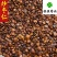 炒枣仁炒酸枣仁进口梨枣仁佳佳药业供应各种中药材