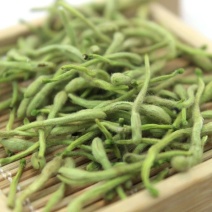 河南金银花带绒毛金银花茶精选花茶