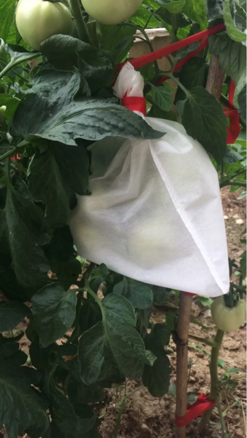 葡萄套袋无防布防鸟防水的葡萄专用袋桃子芒果水果套袋防虫