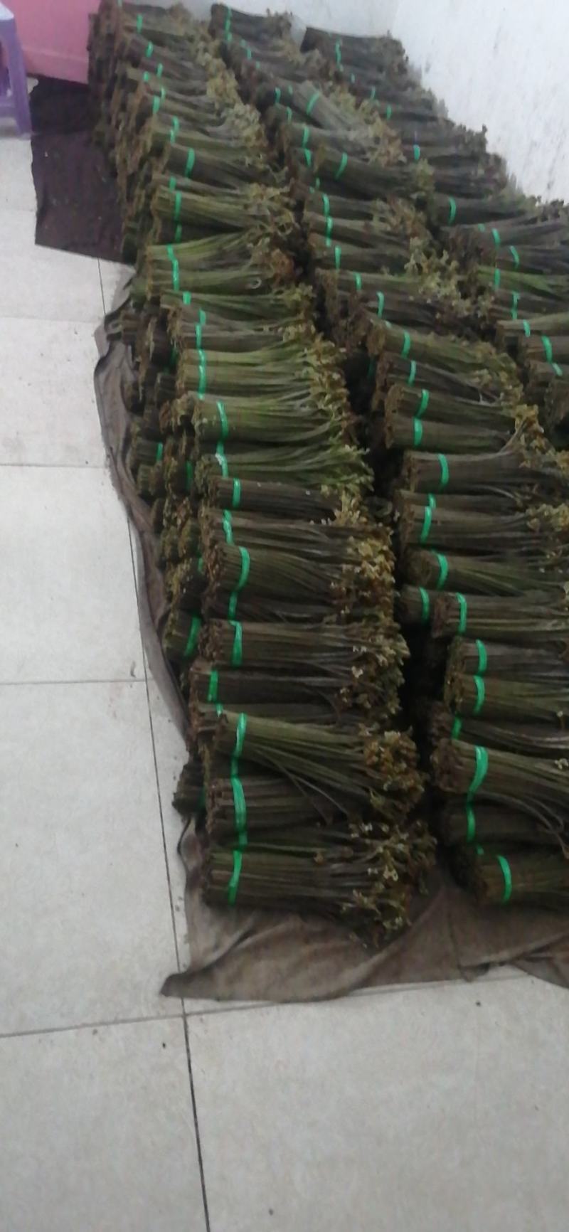 精品厥菜泡沫箱装10件起发