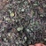 中药材雷公根枳雪草蹦大碗新货青绿色好货