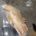 清真熟食，酱香熟牛肚（无任何添加剂防腐剂，健康食用）
