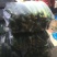 河南省高科农副产品瓜果蔬菜种植产业种植基地。