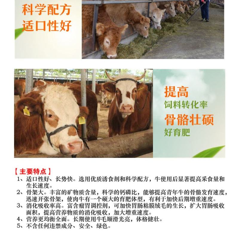 育肥牛预混料饲料吃的香长的快增加免疫力