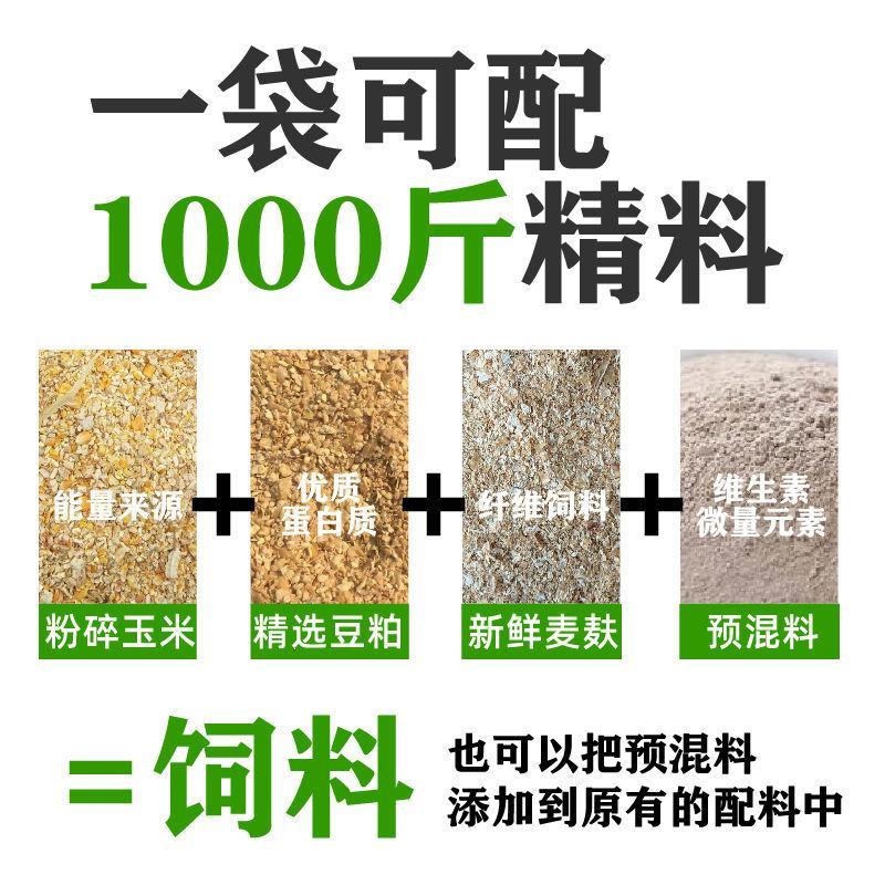 育肥牛预混料饲料吃的香长的快增加免疫力