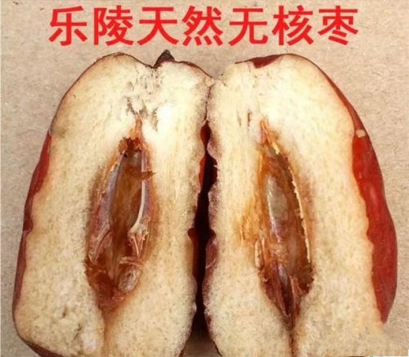 乐陵天然无核金丝小枣