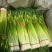 丰县蒜苔大量上市价格美丽