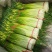 丰县蒜苔大量上市价格美丽