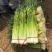 丰县蒜苔大量上市价格美丽