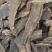 玄参大统货斜片无硫批发各种规格中药材1000g起批