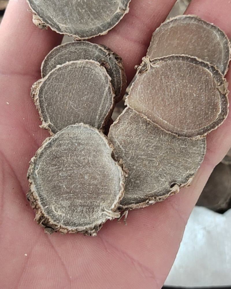 莪术薄片中片选关书药业批发各种规格中药材