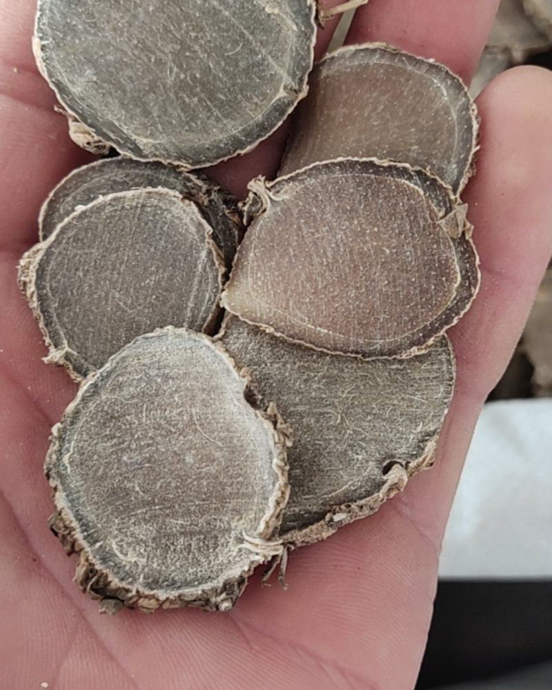 莪术薄片中片选关书药业批发各种规格中药材