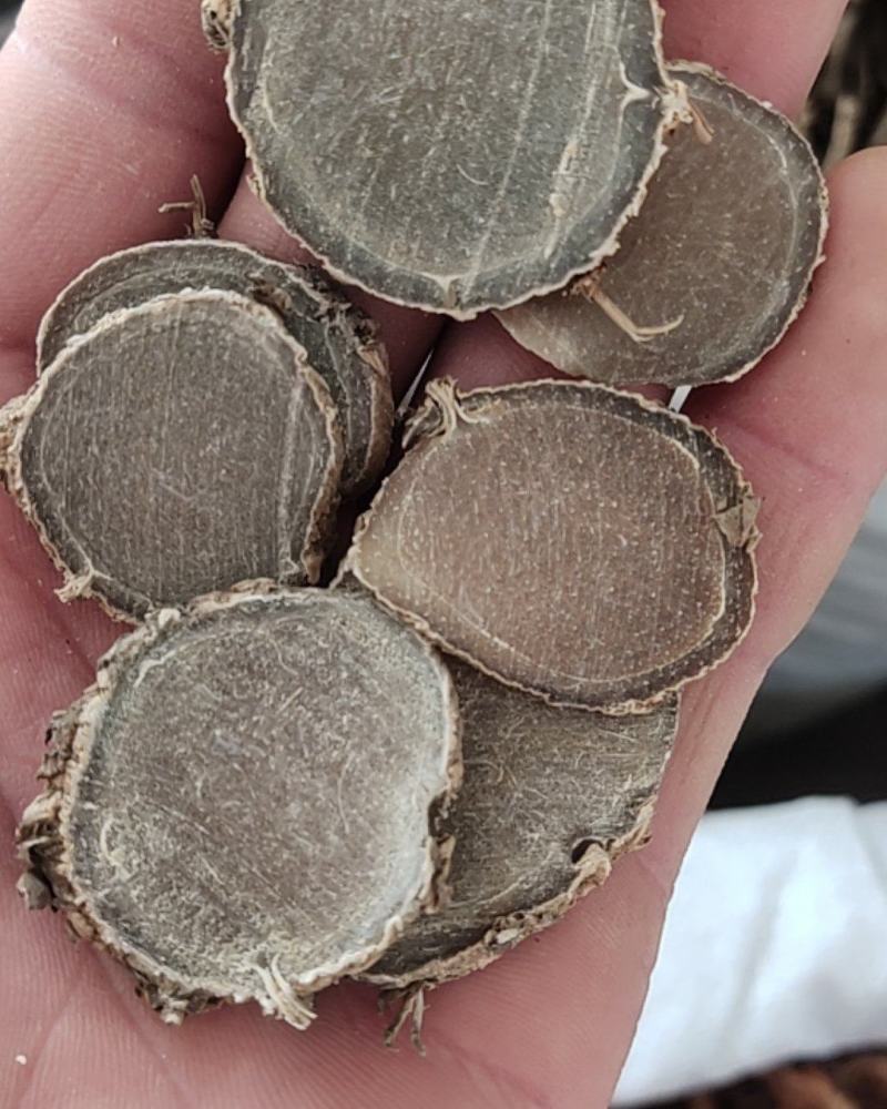 莪术薄片中片选关书药业批发各种规格中药材