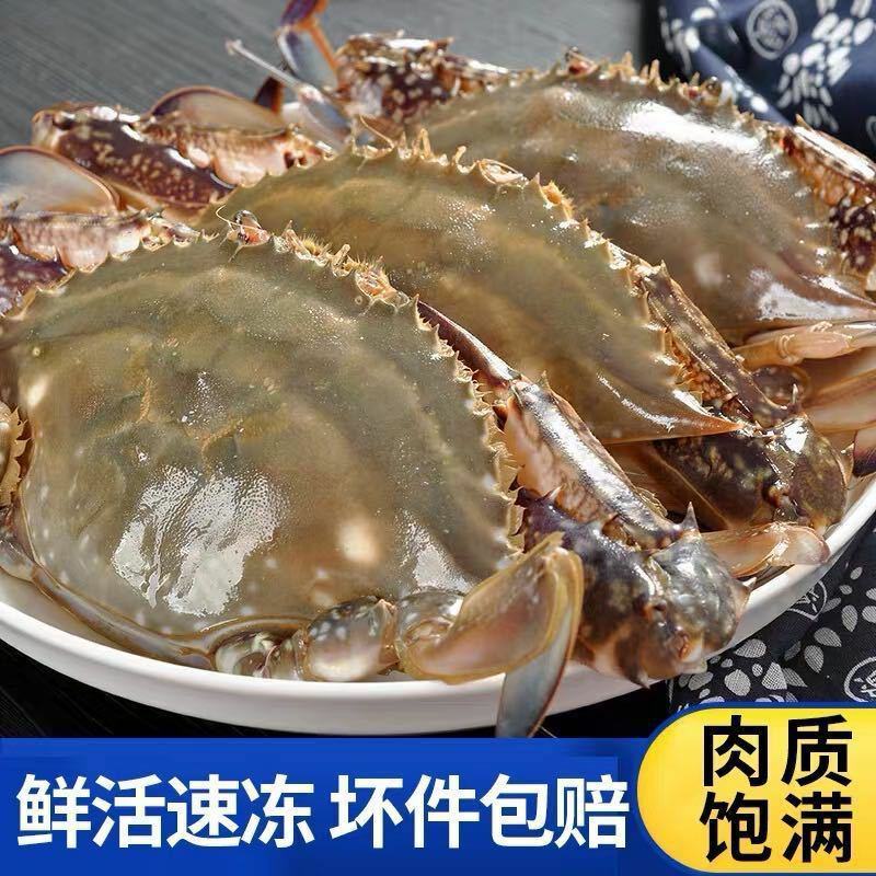 带箱梭子蟹鲜活冷冻新鲜超特冷速急冻螃蟹公母随机蟹海鲜香辣