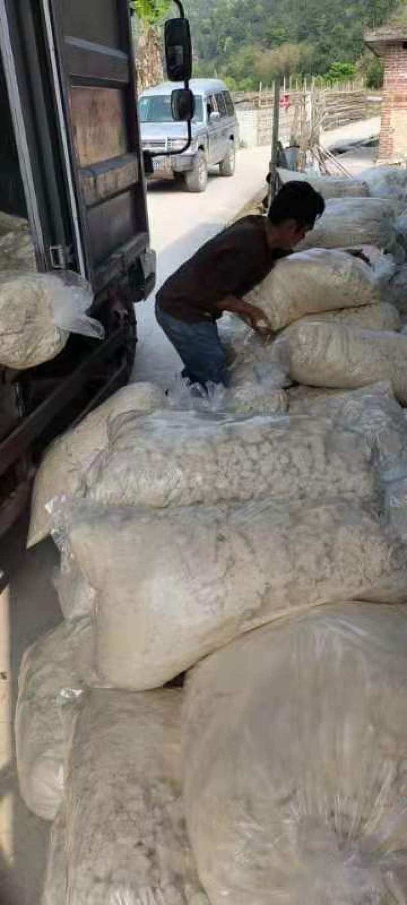 新鲜豆奶渣，营养价值高，无需发酵，可直接喂养