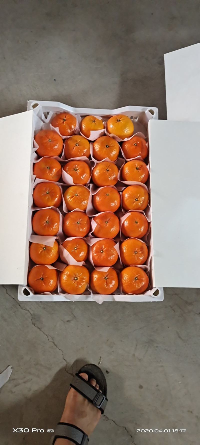 沃柑：云南精品带叶沃柑大量上市口感甜需要联系