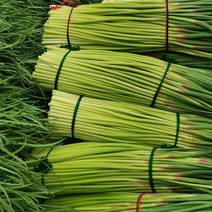 河南省淮阳区白帽蒜苔，红帽蒜薹大量上市供应中需要的。