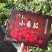 批发商超平度釜山88圣女果电商一件代发,玲珑小番茄
