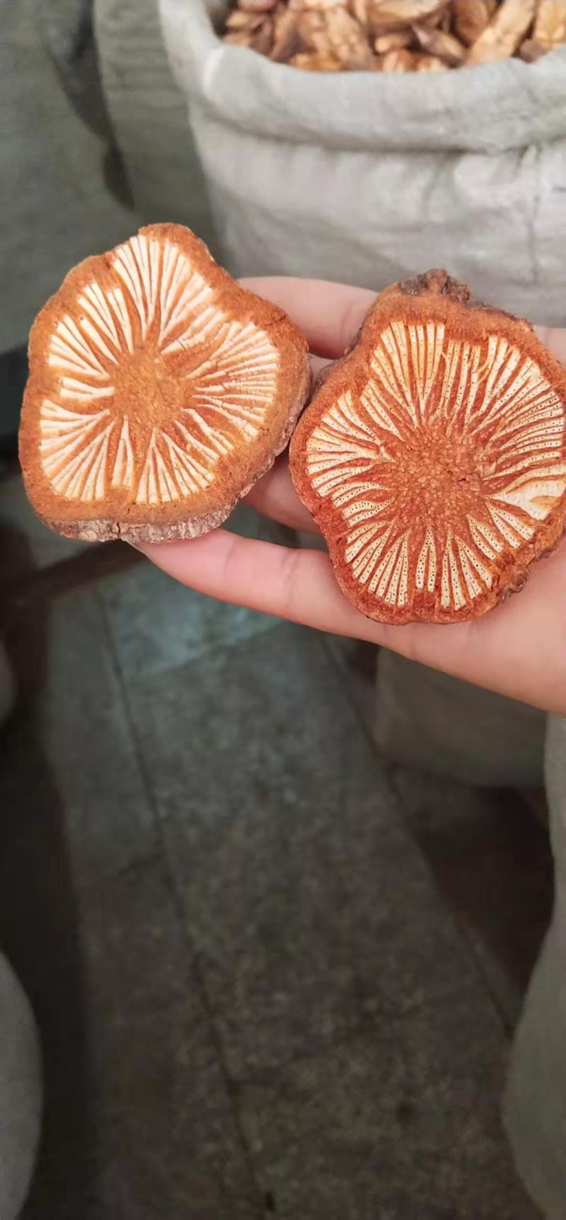 中药材脑血通红藤片大片级别同时可供应小片，货源充足