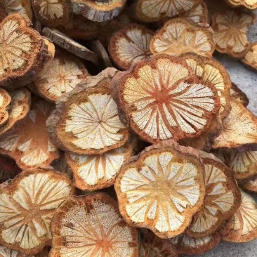 中药材脑血通红藤片大片级别同时可供应小片，货源充足