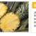 云南香水小菠萝新鲜应季水果批发整箱3/5/9斤非凤梨